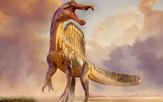 Phát hiện chấn động: Rồng thực sự tồn tại?