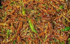 Sau Tết, 1 loại thực phẩm quen thuộc dễ khiến không gian bếp trở nên nặng nề nếu dùng sai cách