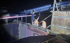 Hà Nội: Bắt quả tang 2 tàu khai thác cát trái phép trên sông Cầu, thu giữ 170m³ cát lúc rạng sáng