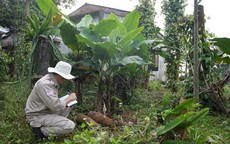 Xử lý hàng loạt vật liệu nổ sót lại sau chiến tranh tại Quảng Trị