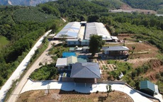 Sau phản ánh của Gia đình và Xã hội, Phú Thọ yêu cầu xác minh các trang trại chăn nuôi tại Cao Dương