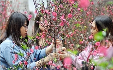 Tin mới nhất về thời tiết dịp Tết Nguyên đán 2026, miền Bắc có rét đậm, rét hại?