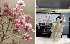 Loài hoa được Hoa hậu Đỗ Thị Hà cắm trong dịp Tết Bính Ngọ có gì đặc biệt mà lại gây sốt?