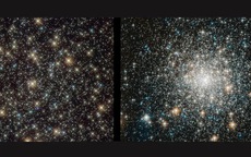 Phát hiện rùng mình về “sinh vật bất tử” của vũ trụ