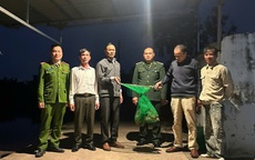 Khỉ đuôi lợn quý hiếm bất ngờ đi lạc vào nhà dân