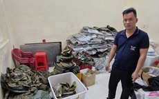 Công an TPHCM bắt giam người lập hàng loạt tài khoản để làm chuyện bất chính