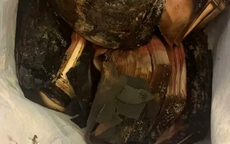 Bất ngờ với số tiền nhận lại khi cụ ông mang 1,4 tỷ đồng bị cháy nghiêm trọng tới đổi tại ngân hàng