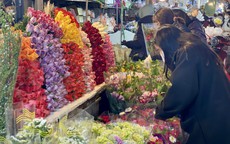 Những loại hoa nào đang được chị em thi nhau ‘săn đón’ trong dịp Rằm tháng Giêng năm 2026?