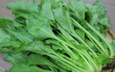 Loại rau cực tốt cho gan, người trung niên, người cao tuổi nên ăn