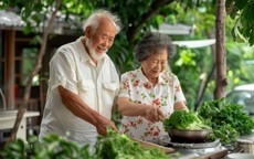 Lương hưu 34 triệu đồng/tháng vẫn thiếu trước hụt sau: U75 cay đắng nhận ra 2 sai lầm ở tuổi già