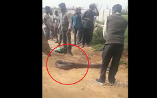 Đang đi dạo, người dân phát hiện cảnh tượng "nổi da gà" giữa đường