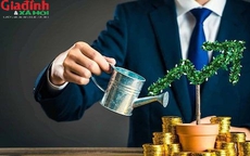 Người khôn ngoan thường có 3 thói quen này, dù nhìn qua chẳng có gì đặc biệt, bạn có bao nhiêu?