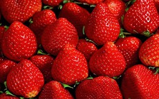 Thực phẩm được khuyến khích cho người chạy thận