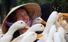 Du khách nước ngoài mê mẩn với dịch vụ massage vịt