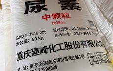 Tiểu thương công khai kinh doanh hàng ngàn kilogram phân bón nhập lậu