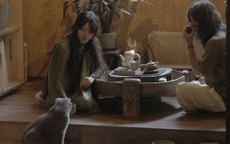 Tưởng 'đi lùi' khi về quê, ai ngờ vợ chồng 9x lại có cuộc sống khiến ai cũng thèm