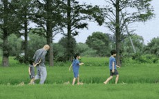 Bỏ phố về quê xây nhà rộng thênh thang: Quyết định khiến cả gia đình đổi đời