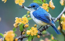 Giờ sinh Âm lịch của người 'không thể nghèo': Kiếm tiền giỏi, tiêu tiền càng khôn