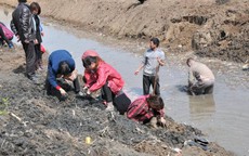 Công trường dừng thi công khẩn cấp vì máy xúc đào trúng vật cứng chứa hiện vật nặng hơn 100kg, con mương rộng 6m bị phong tỏa