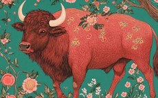 Tử vi gọi tên 3 con giáp giàu lên nhanh nhất hè 2026