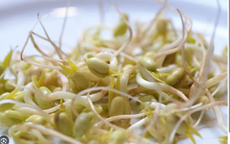 Người bị suy thận có ăn được giá đỗ không, cách sử dụng?