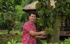 Sở thích đặc biệt của Cục trưởng Xuân Bắc trong 'biệt phủ' ngoại ô