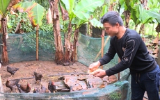 Giấc mơ đổi đời khép lại trong cay đắng và nợ nần