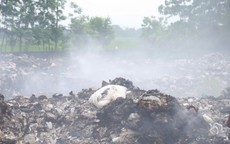 Kinh hoàng những 'lò bát quái' ven đê ở Ninh Bình, khói đang âm thầm 'đầu độc' người dân