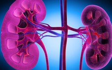 5 nhóm người có nguy cơ suy thận cao, người Việt cần biết để phòng tránh