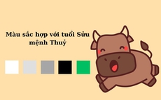 Con giáp tuổi này nên mua gì đầu năm để tạo điểm khởi đầu tốt cho một năm mới thịnh vượng