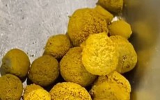 Tìm thấy vàng dưới sông, người phụ nữ mang đi kiểm tra thì sốc nặng