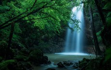 Sinh đúng giờ 'hoàng kim', 3 con giáp này hưởng trọn phú quý, dễ thành đại gia