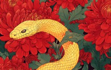 Phụ nữ thuộc 3 con giáp này không cần bon chen vẫn lấy chồng giàu