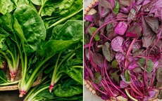 4 loại rau ở Việt Nam là 'kho sắt xanh', bổ máu hơn cả thịt bò: Top 1 tốt cho cả tim và dạ dày, nhiều người chê không ăn