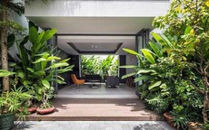 Tác hại của việc trồng quá nhiều cây phong thủy trong nhà