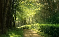 Giờ sinh Âm lịch của đứa trẻ vượng khí: Lớn lên dễ làm rạng danh cha mẹ