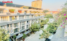 Hà Nội: Giá bán không ngờ tới loạt biệt thự tại 3 phường Hai Bà Trưng, Bạch Mai và Vĩnh Tuy tháng 3/2026