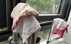 Có 3 thứ trong bếp nên thay mới ngay nếu không muốn cả tháng Giêng trì trệ