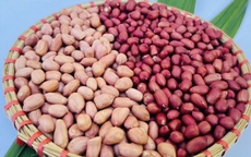 Không chỉ là món ăn vặt, đậu phộng còn “ghi điểm” nhờ loạt công dụng này