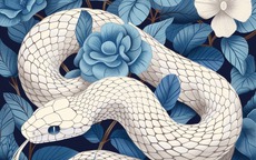 4 con giáp 'mát tay mát vía': Sự nghiệp phát đạt, hôn nhân hạnh phúc