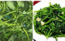 Bị sỏi thận ăn rau muống được không?