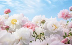 Ngày sinh Âm lịch của người sống tình cảm, chân thành: Càng lớn tuổi, càng hưởng phúc