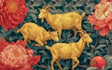 Thời gian chỉ là con số: 4 con giáp càng già càng trẻ đẹp