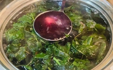 Loại rau được ví “lá hồi sinh” chỉ 1–2k/mớ cực nhiều ở nước ta, ngày hè đem làm nước giải nhiệt cực tốt