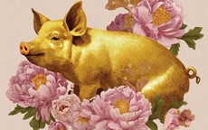 3 con giáp nam tài giỏi ngoài xã hội, dịu dàng trong gia đình