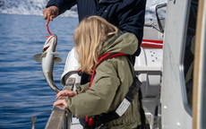 Xu hướng lựa chọn DHA cho trẻ nhỏ: Không chỉ là hàm lượng, mà là chất lượng toàn diện