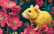 Top con giáp nam dễ phụ bạc khi sự nghiệp lên cao