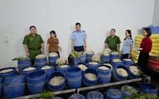 Quảng Ninh: Bắt chủ 2 cơ sở bán 160 tấn giá đỗ ngâm chất tăng trưởng
