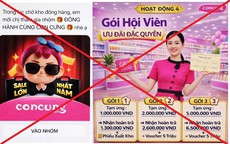 Hà Nội: 'Sập bẫy' nhiệm vụ online trên nhóm “Đồng hành cùng Con Cưng”, người phụ nữ mất 1 tỷ đồng