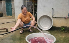 Phạt trang trại nuôi lợn hơn 400 triệu đồng vì xả thải vượt quy chuẩn